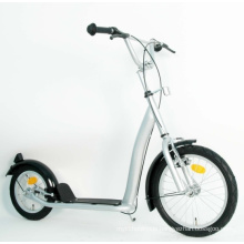 Steel Frame Kick Scooter (PB1612B)